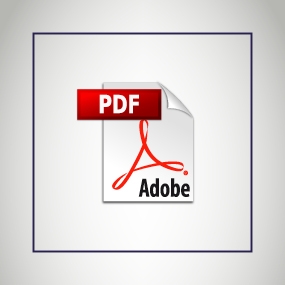 Icon for a PDF file