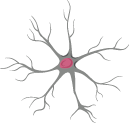 Nerve damage