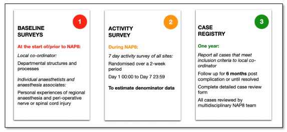 the three phases of NAP8