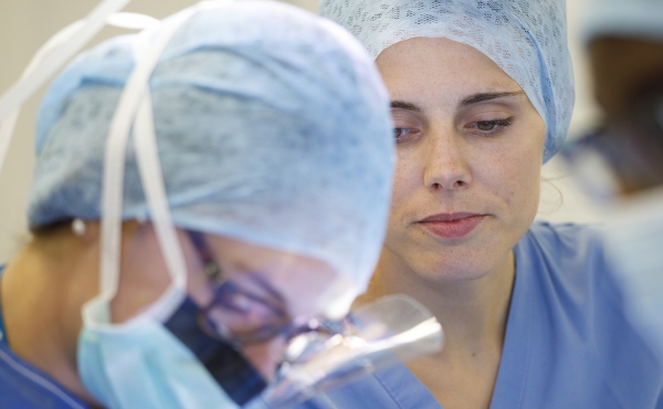 Anaesthetist in theatre desktop