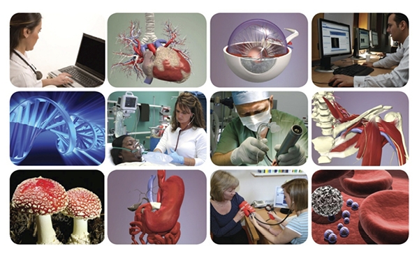 Primary FRCA Online Revision Course - Listing Image