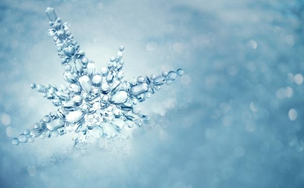 Snowflake bulletin imagery