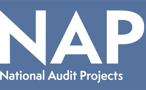 NAP Logo 2019