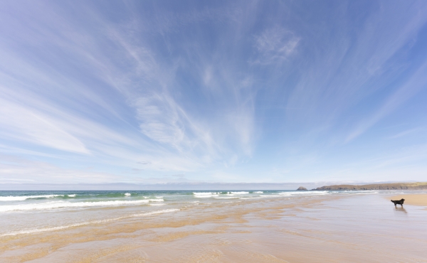 Summer Bulletin - beach in Cornwall
