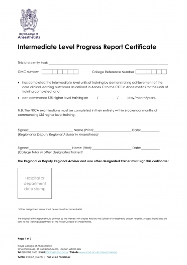 Intermediate Level Progress Report