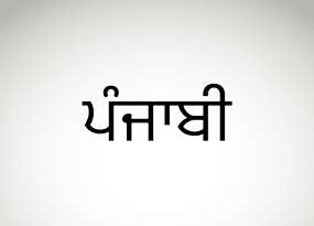 Punjabi translation