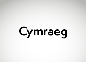 Welsh translation