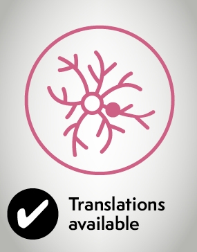 Nerve blocks translations