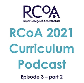 Curriculum podcast episode 3 - part 2 