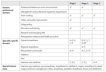 A list of the domains in the 2021 anaesthetics curriculum that refer to simulation